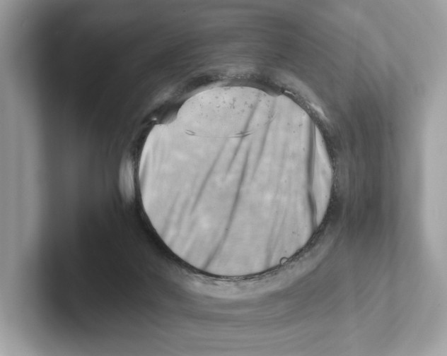 X0000100930022200807221146