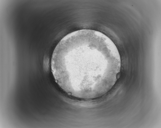 X0000100930024200807221146