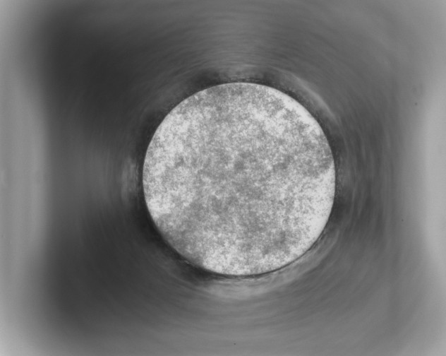 X0000100930025200807221146