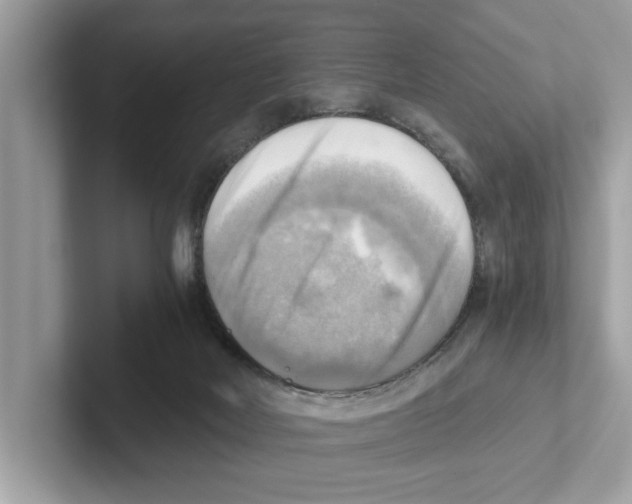 X0000100930026200807221146