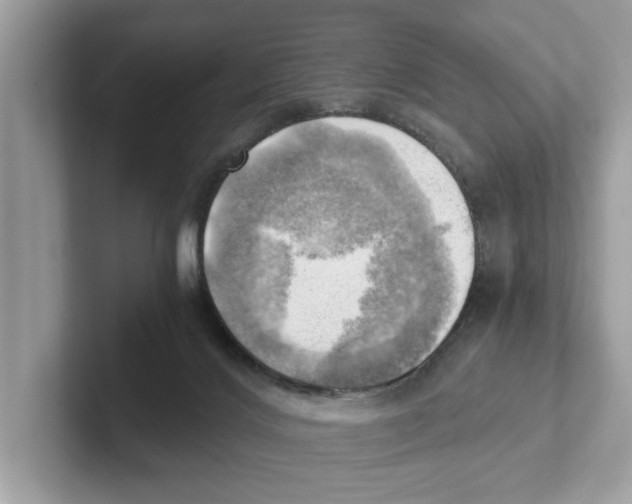 X0000100930028200807221146