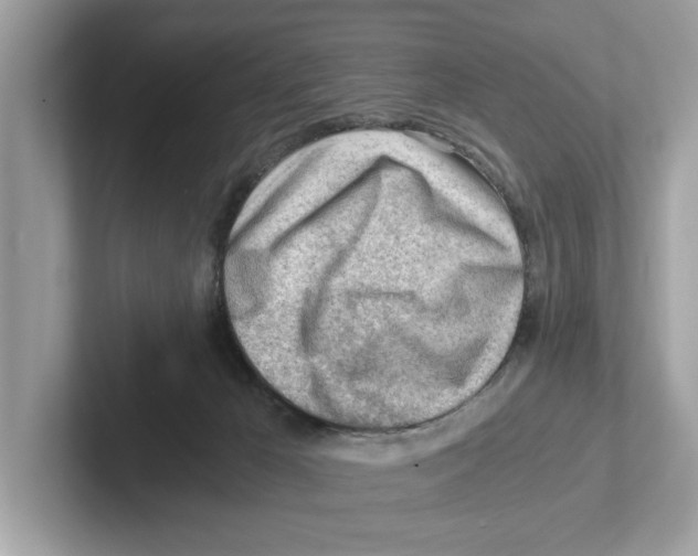 X0000100930029200807221146