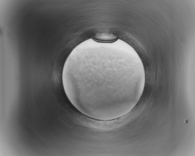 X0000100930035200807221146