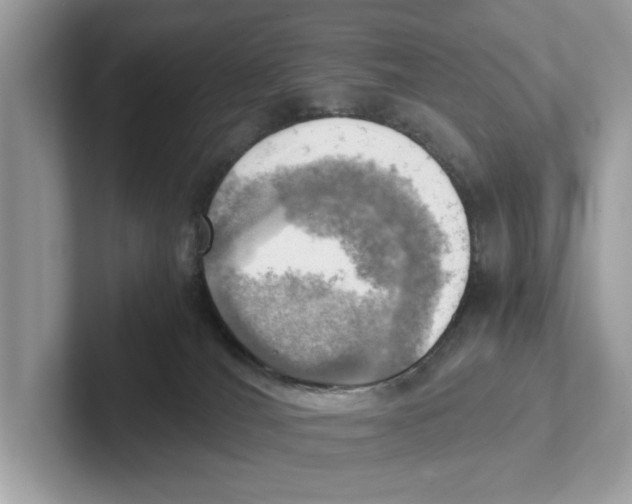 X0000100930036200807221146