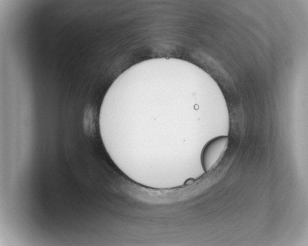 X0000100930038200807221146