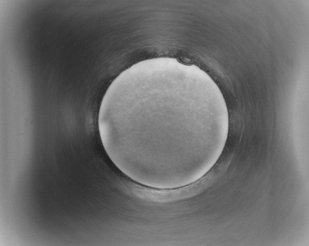 X0000100930039200807221146