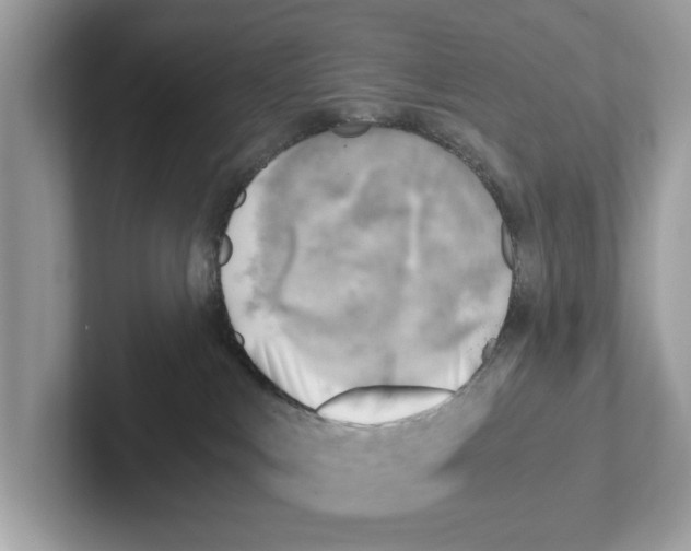 X0000100930043200807221146