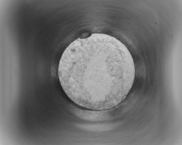 X0000100930044200807221146