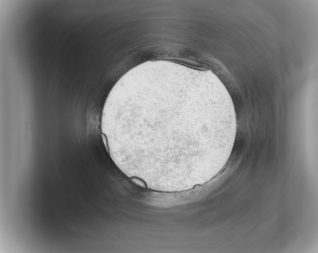 X0000100930045200807221146