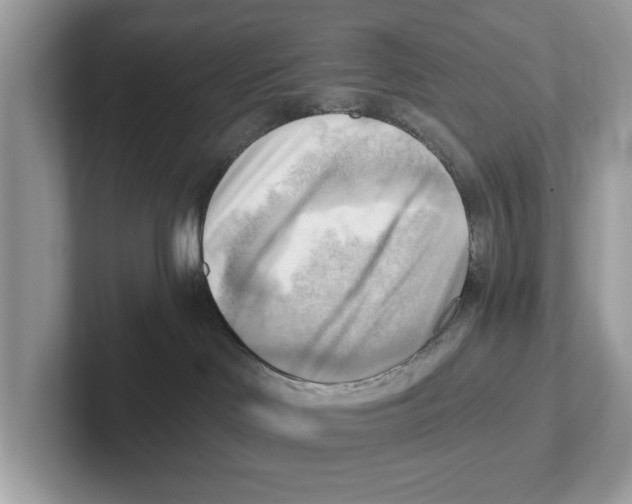 X0000100930046200807221146