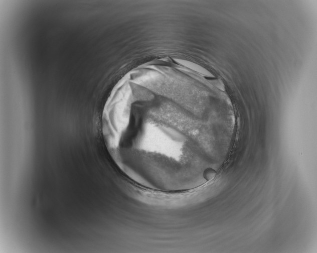 X0000100930048200807221146