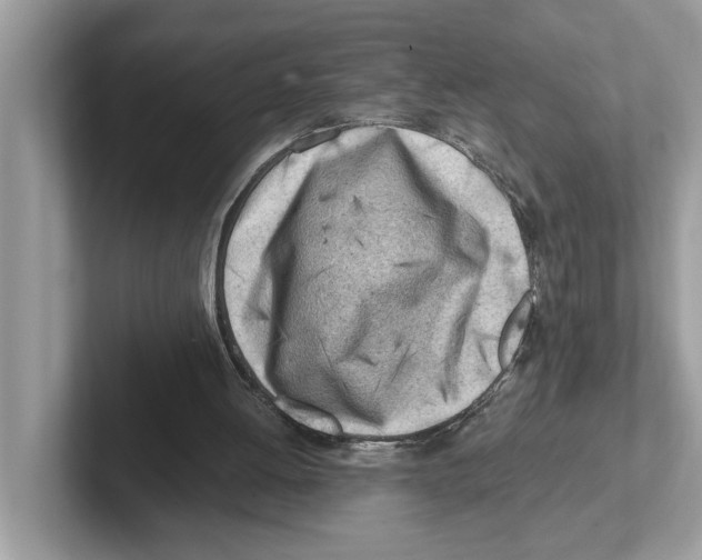 X0000100930052200807221145