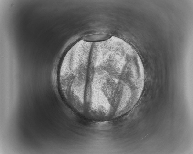 X0000100930054200807221145