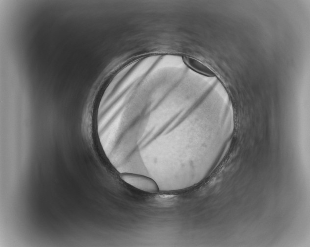 X0000100930055200807221145