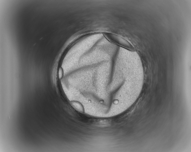 X0000100930056200807221145