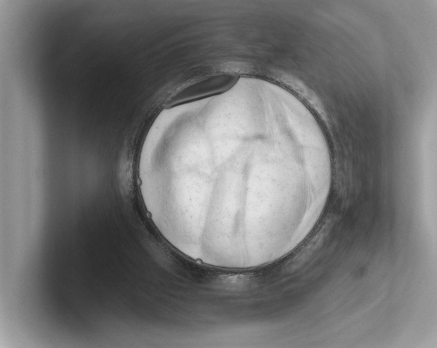 X0000100930057200807221145