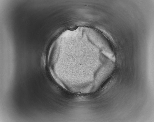 X0000100930062200807221145