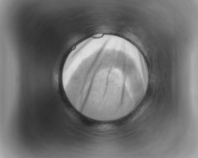 X0000100930063200807221145