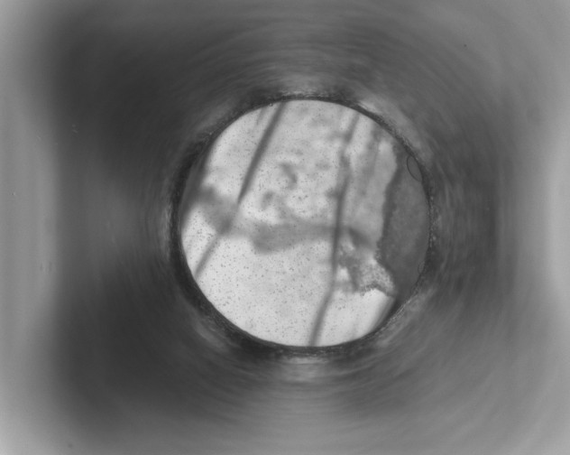 X0000100930066200807221145