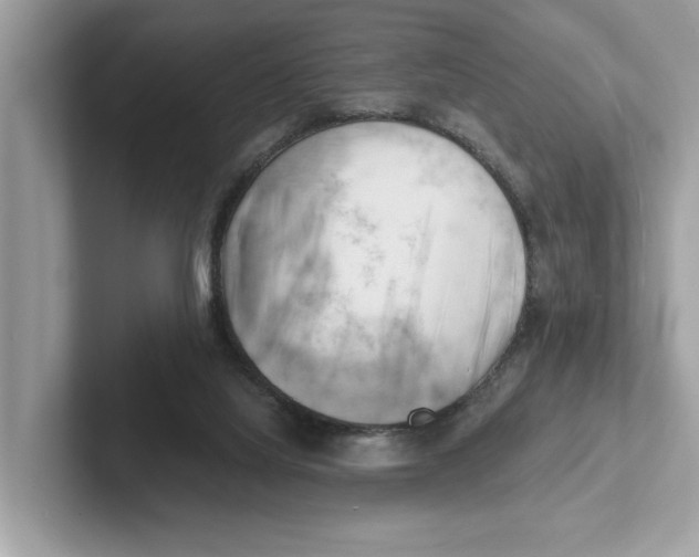 X0000100930068200807221145