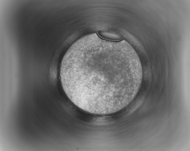 X0000100930072200807221145