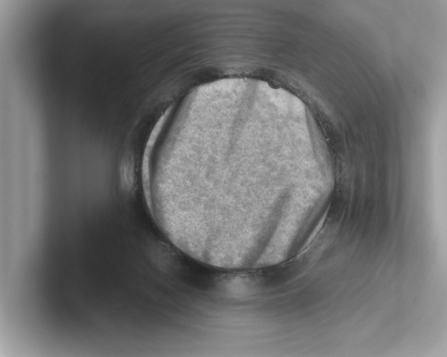 X0000100930074200807221145