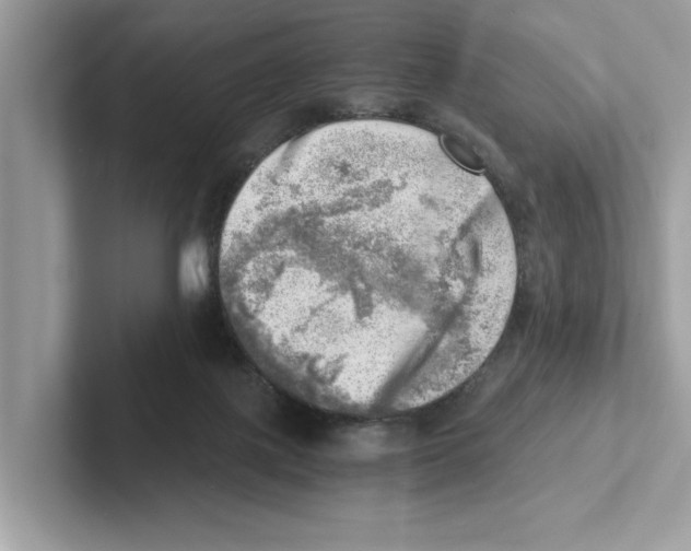 X0000100930075200807221146