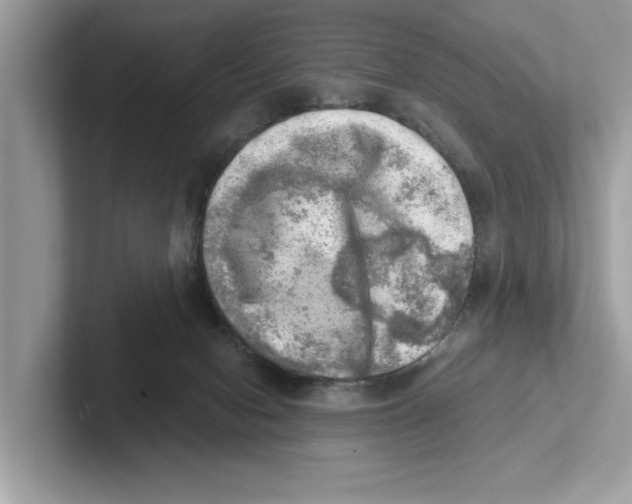 X0000100930078200807221146