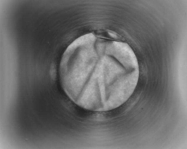 X0000100930080200807221146