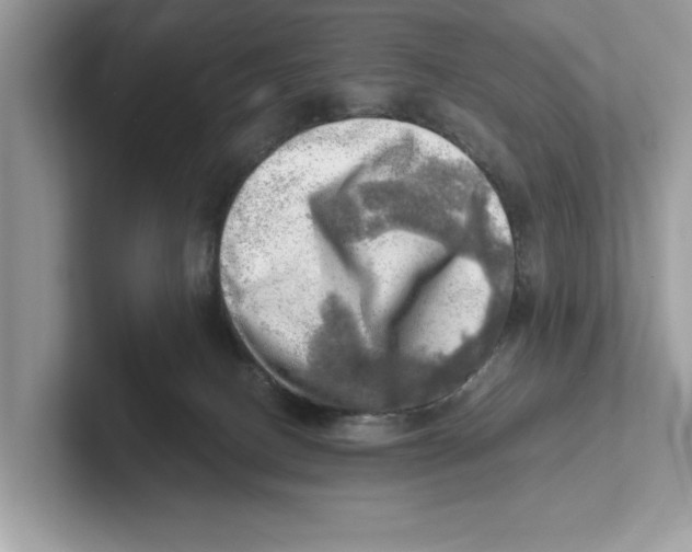 X0000100930082200807221146