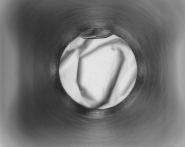 X0000100930084200807221146