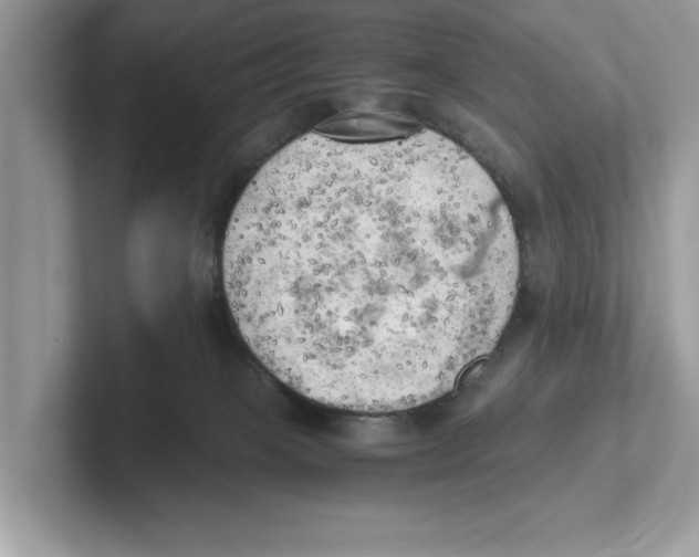 X0000100930085200807221146