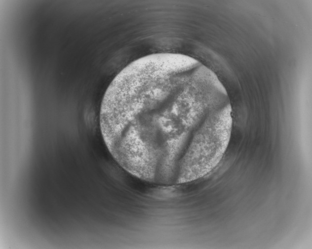 X0000100930086200807221146