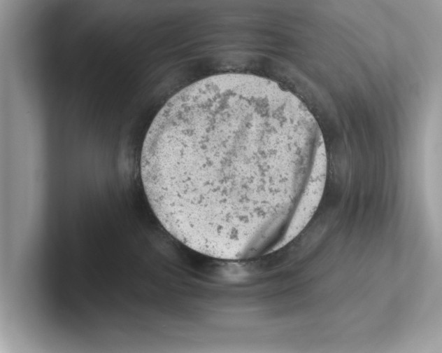 X0000100930091200807221146