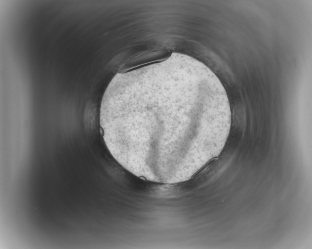 X0000100930092200807221146