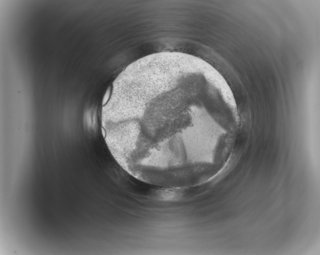 X0000100930094200807221146