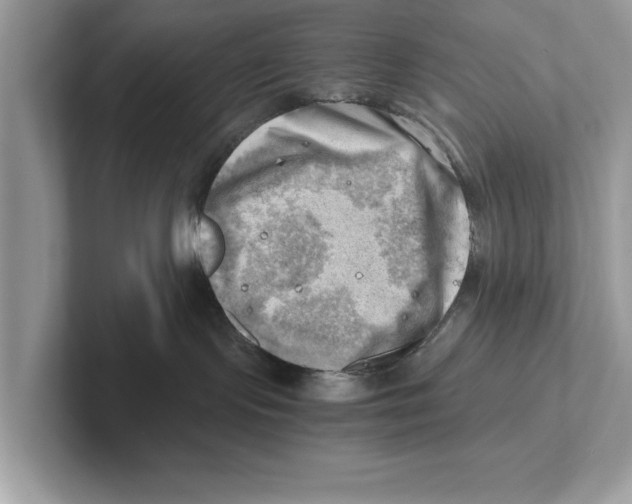 X0000100930095200807221146