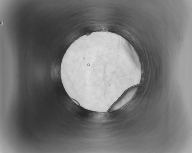 X0000100930096200807221146