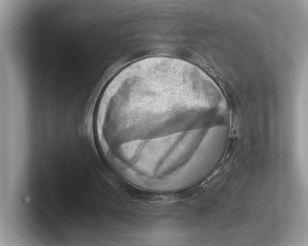 X0000100930099200807221145