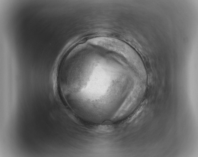 X0000100930101200807221145