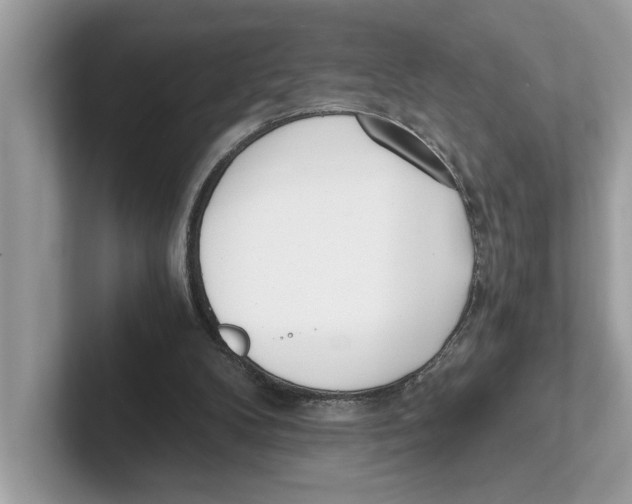 X0000100930104200807221145