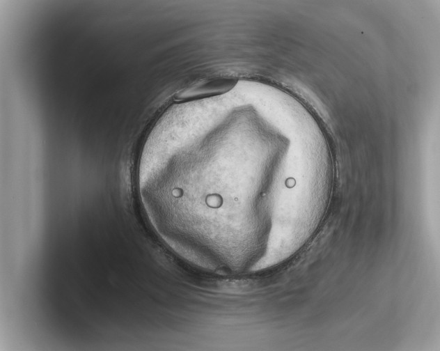 X0000100930105200807221145