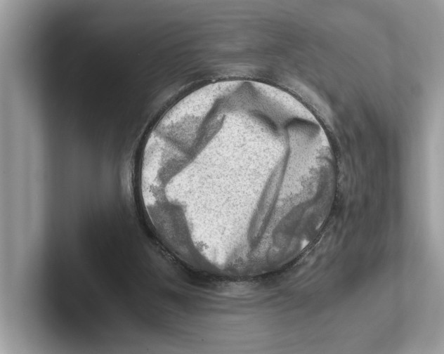 X0000100930107200807221145