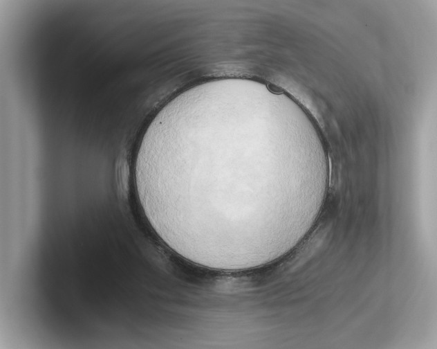 X0000100930109200807221145