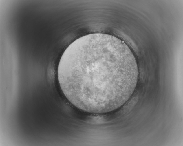 X0000100930113200807221145