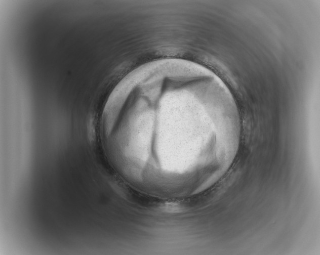 X0000100930114200807221145