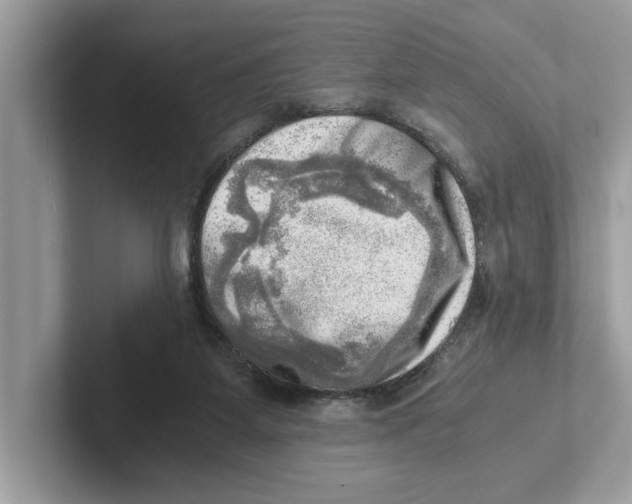 X0000100930115200807221145