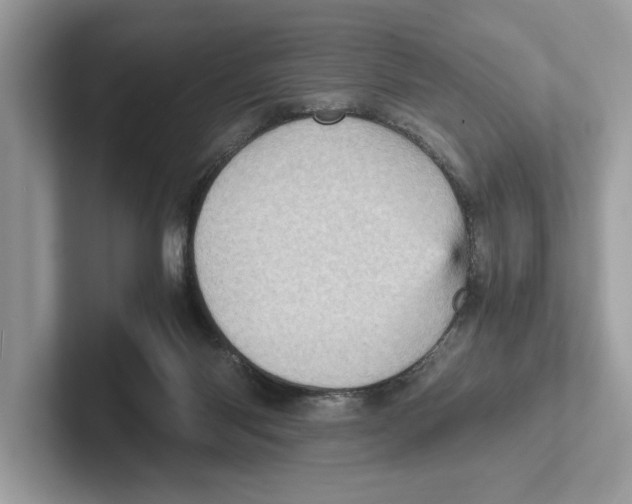 X0000100930118200807221145