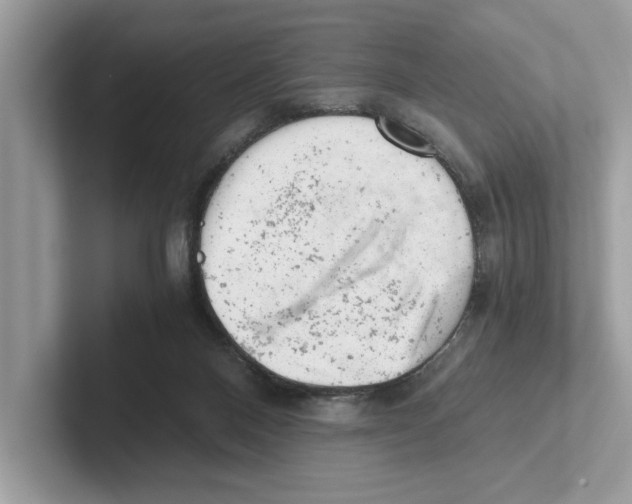 X0000100930120200807221145