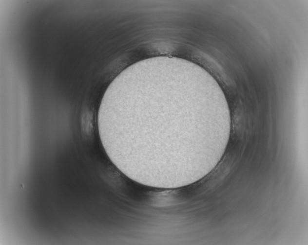 X0000100930122200807221145